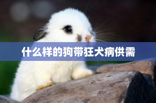 什么樣的狗帶狂犬病供需