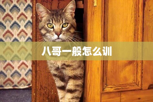 八哥一般怎么訓