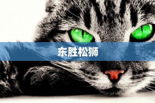 東勝松獅
