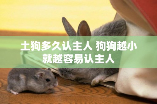 土狗多久認主人 狗狗越小就越容易認主人