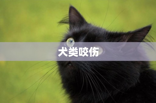 犬類咬傷