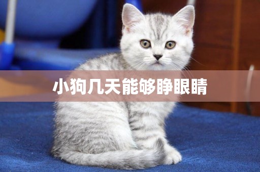 小狗幾天能夠睜眼睛