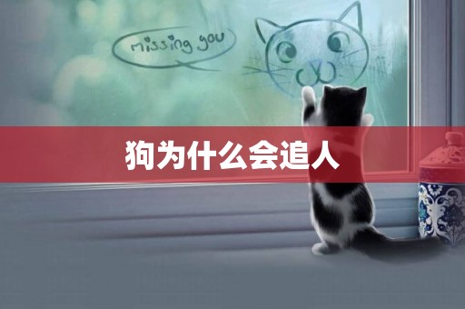 狗為什么會追人