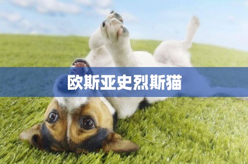 歐斯亞史烈斯貓