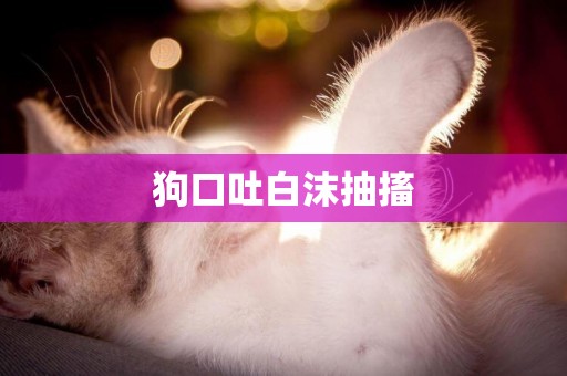 狗口吐白沫抽搐