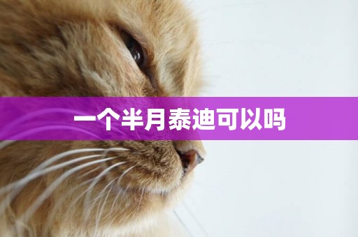 一個半月泰迪可以嗎