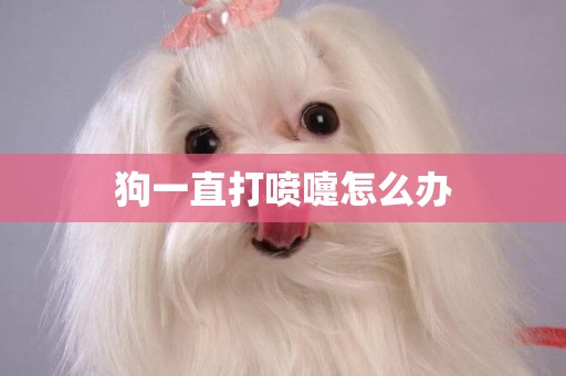 狗一直打噴嚏怎么辦