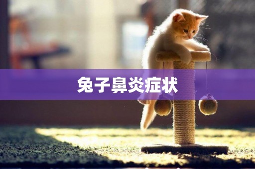 兔子鼻炎癥狀