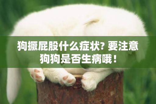 狗撅屁股什么癥狀? 要注意狗狗是否生病哦！
