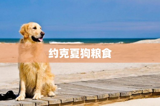 約克夏狗糧食