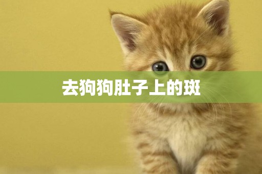 去狗狗肚子上的斑