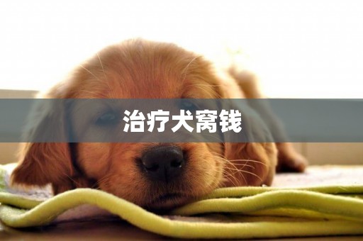 治療犬窩錢