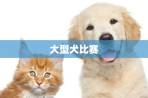 大型犬比賽
