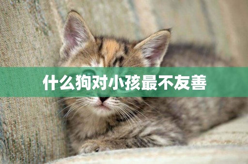 什么狗對小孩最不友善
