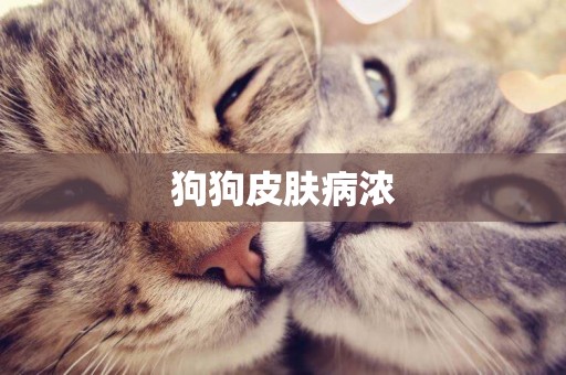 狗狗皮膚病濃