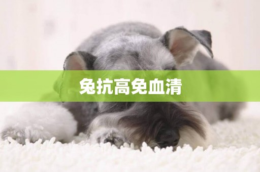 兔抗高免血清