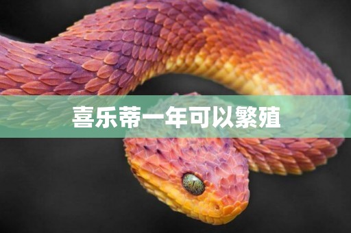 喜樂蒂一年可以繁殖