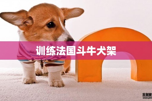 訓練法國斗牛犬架