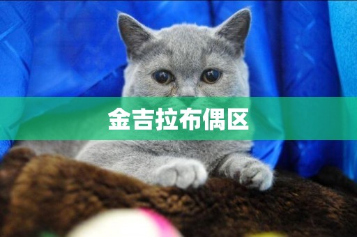 金吉拉布偶區