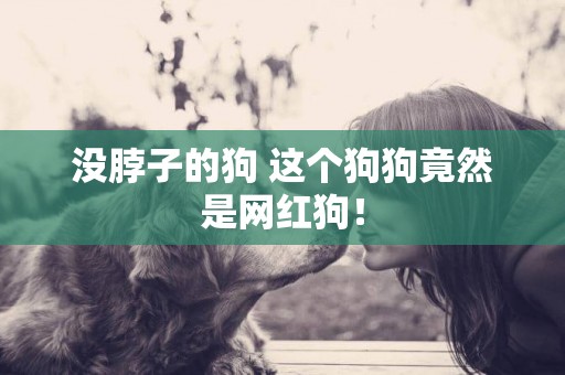 沒脖子的狗 這個狗狗竟然是網紅狗！