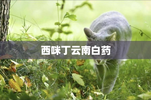 西咪丁云南白藥