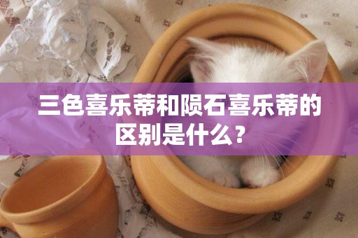 三色喜樂蒂和隕石喜樂蒂的區別是什么？