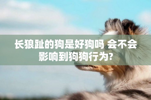 長狼趾的狗是好狗嗎 會不會影響到狗狗行為?