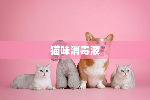 貓味消毒液