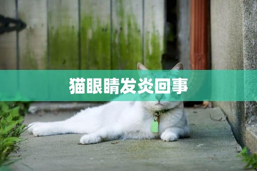貓眼睛發炎回事