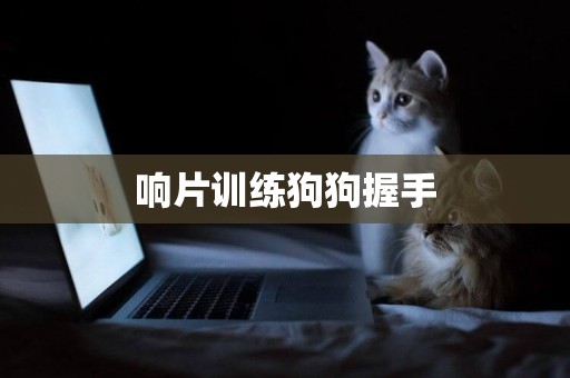 響片訓練狗狗握手