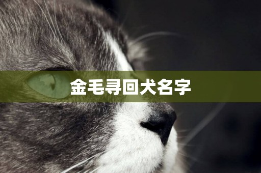 金毛尋回犬名字