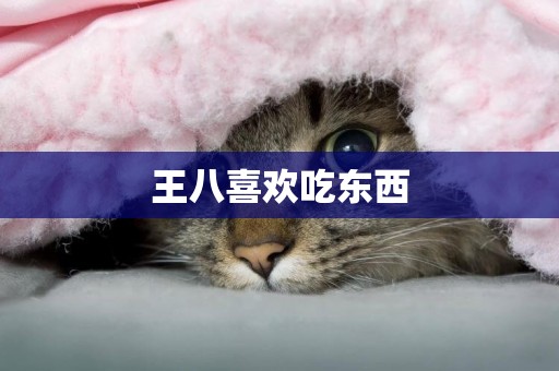 王八喜歡吃東西