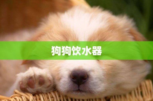 狗狗飲水器