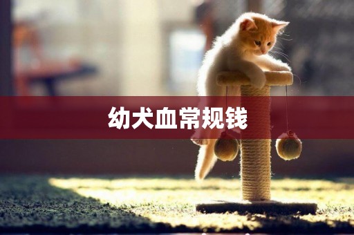 幼犬血常規錢