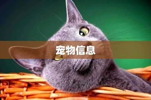 寵物信息