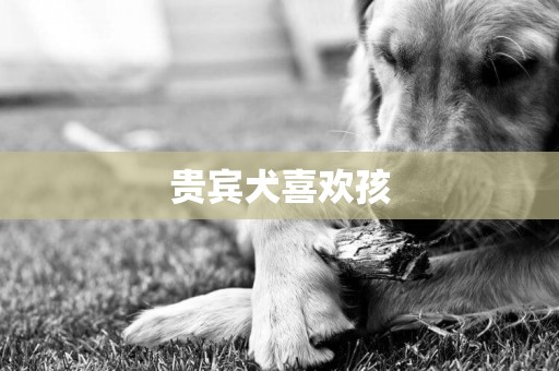 貴賓犬喜歡孩