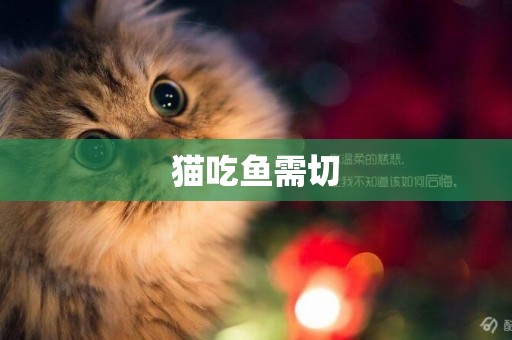 貓吃魚需切