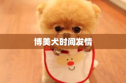 博美犬時間發情