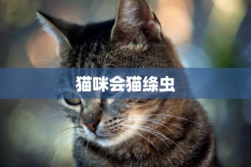 貓咪會貓絳蟲