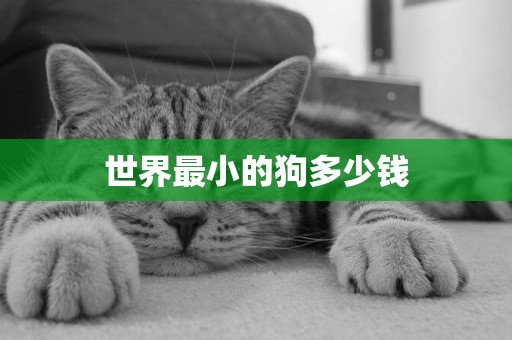 世界最小的狗多少錢
