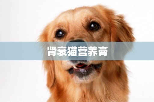 腎衰貓營養膏