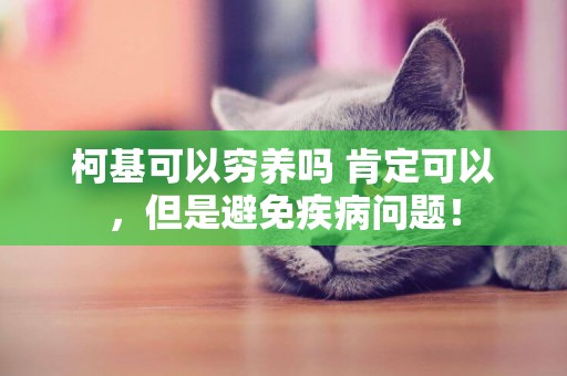 柯基可以窮養嗎 肯定可以，但是避免疾病問題！