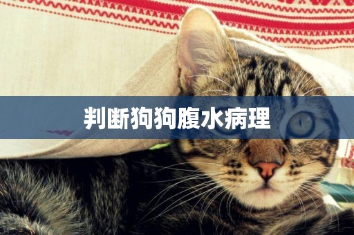 判斷狗狗腹水病理