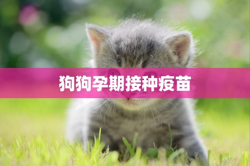 狗狗孕期接種疫苗