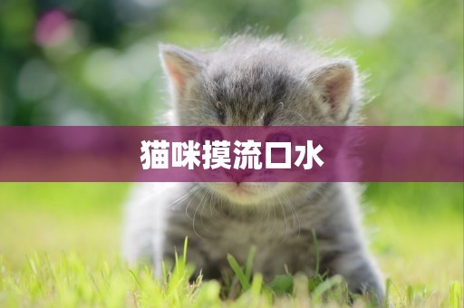 貓咪摸流口水