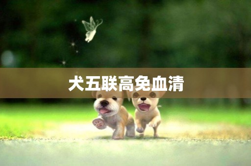 犬五聯高免血清