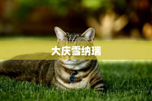 大慶雪納瑞