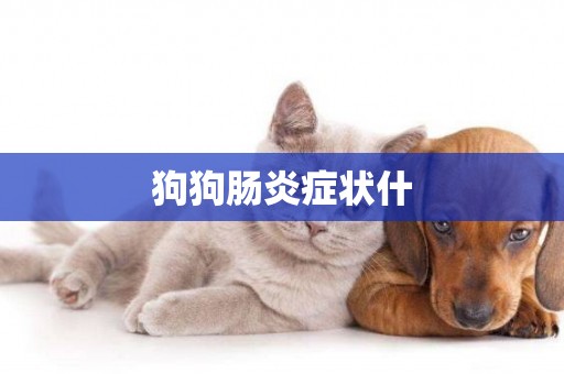 狗狗腸炎癥狀什