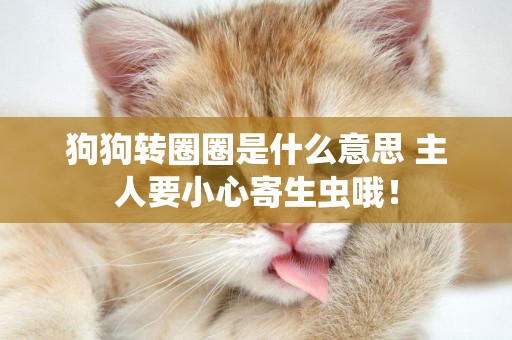 狗狗轉圈圈是什么意思 主人要小心寄生蟲哦！