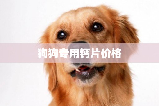 狗狗專用鈣片價格